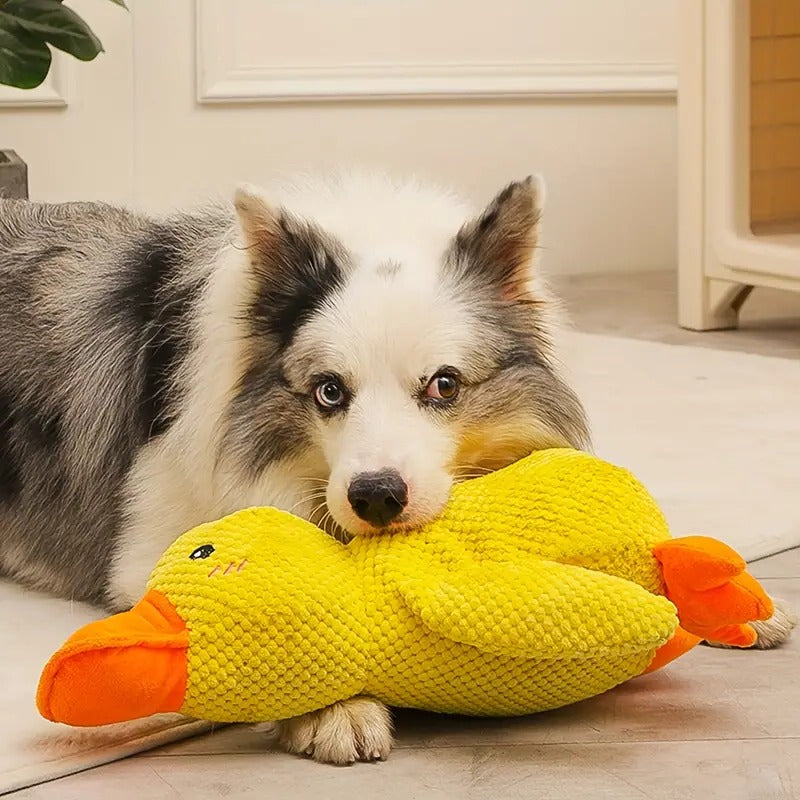 Quaxa™ - Gentle-Textured Duck Toy for Active Play