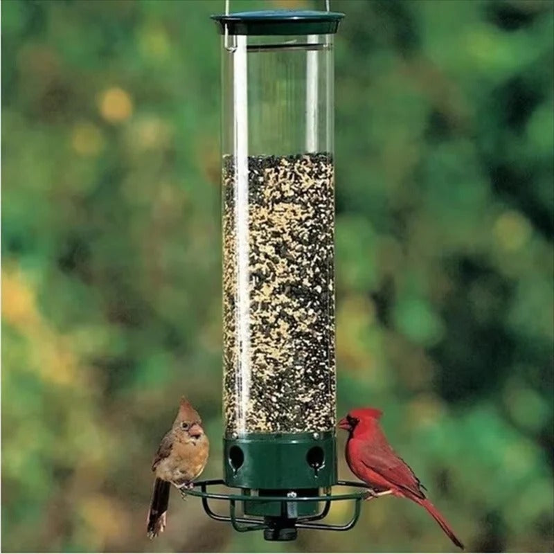 Avyra™ - Up-Close Window Birdwatching With Squirrel Guard