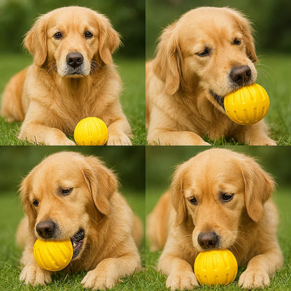 Orbitz™ - Dual-Play Ring for Fetch, Tug, and Training
