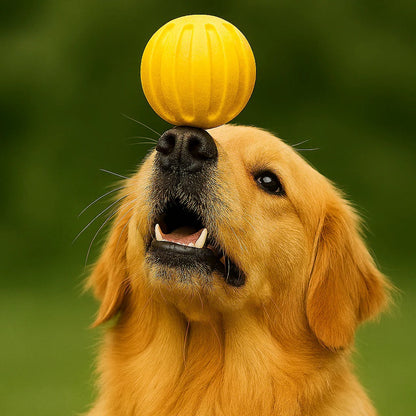 Orbitz™ - Dual-Play Ring for Fetch, Tug, and Training