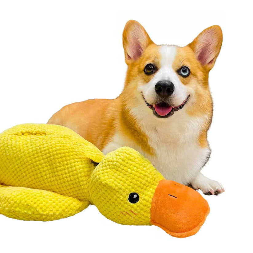 Quaxa™ - Gentle-Textured Duck Toy for Active Play