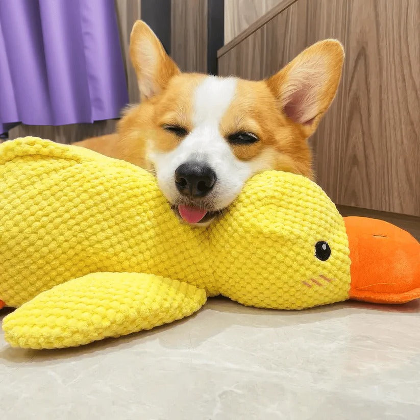 Quaxa™ - Gentle-Textured Duck Toy for Active Play